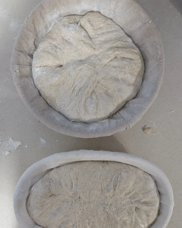 Masses de poolish formades reposant en cistells de fermentació enfarinats